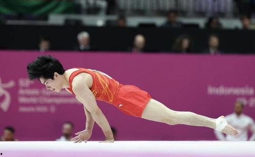 国产操操操,引领健身潮流的创新之作